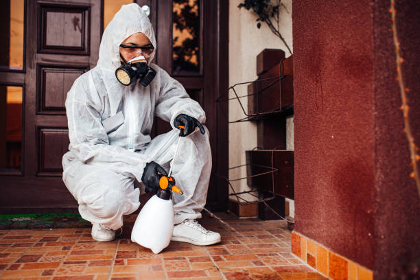 Reliable Mosquito Control contractor in Fort Lupton, CO by Show Me Pest Control